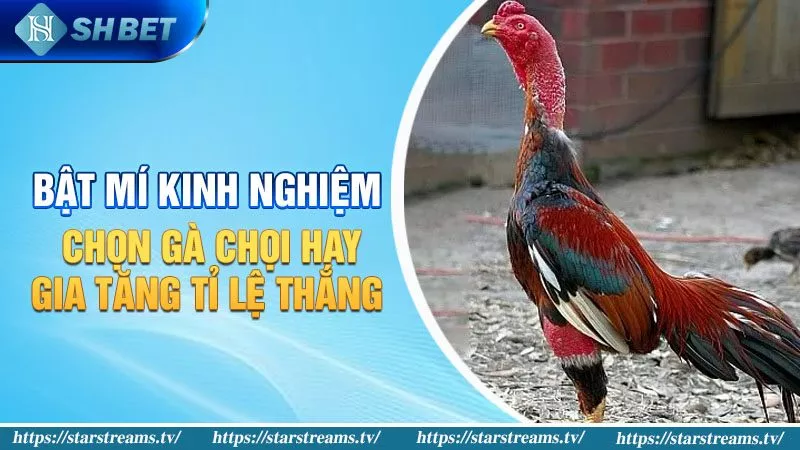 Phương thức nạp và rút tiền 181Bet - 181Bet