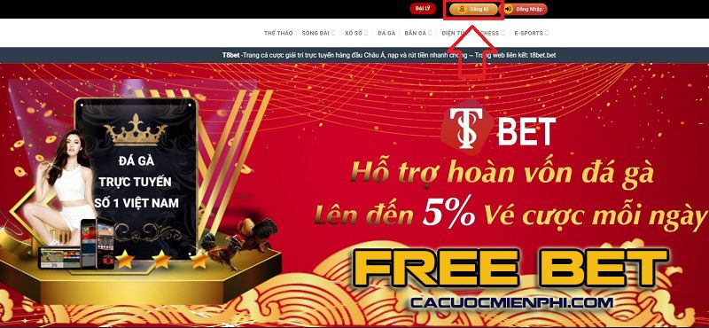 Các vấn đề thường gặp trong các cuộc thi cấp Win55 - Win55