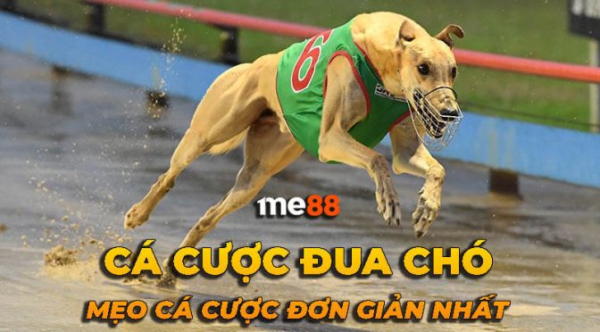 Yêu cầu thu hồi Me88 - Me88