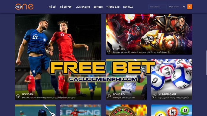 Đánh giá dịch vụ của Công ty P3bet Games - P3bet