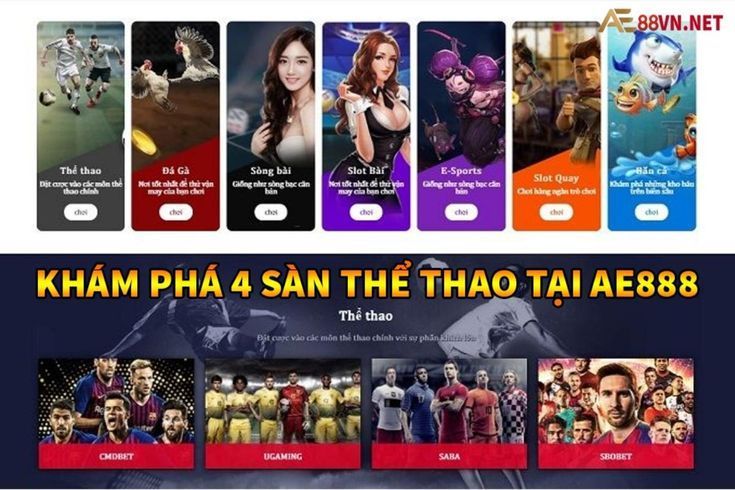 Liệu việc đặt cược vào các kèo được xếp hạng 77Bet có an toàn không? - 77Bet