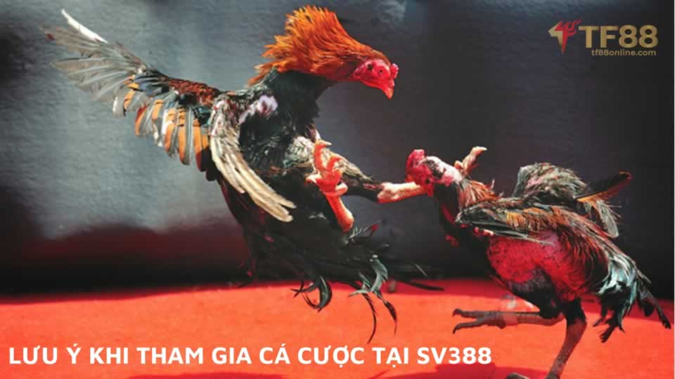 Ứng dụng G6bet APK có an toàn không? - G6bet