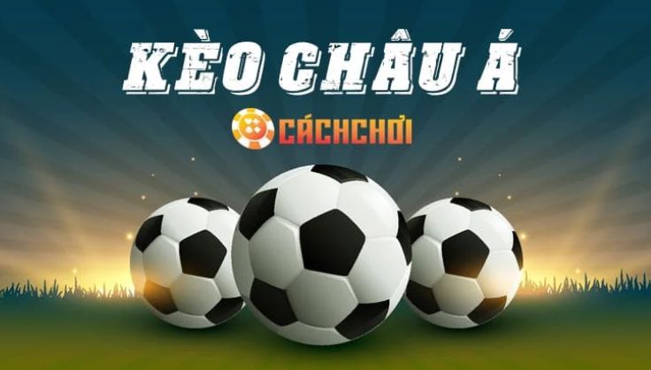 Chương trình VIP của Bwin hoạt động như thế nào? - Bwin