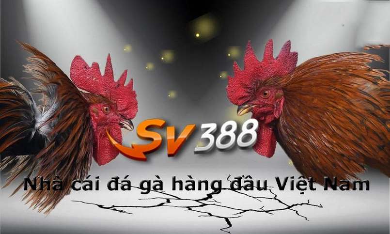 Tổng quan về các công ty game hàng đầu châu Á - 24N