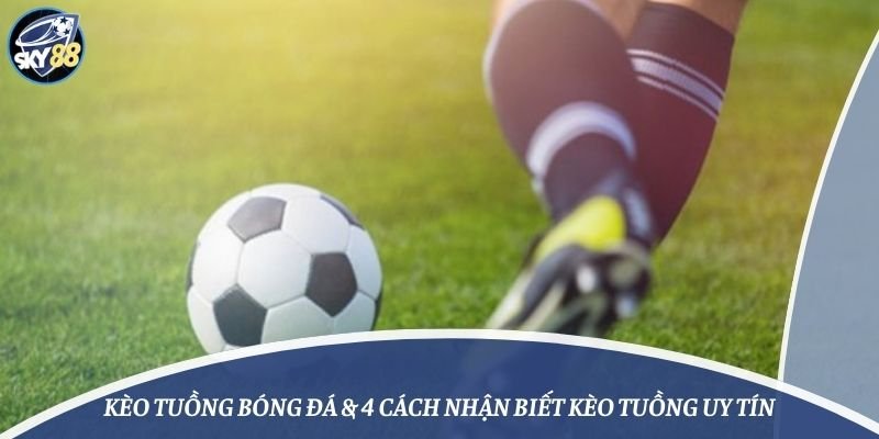 Cách chơi các trò chơi thể thao cấp độ 2Q - 2Q
