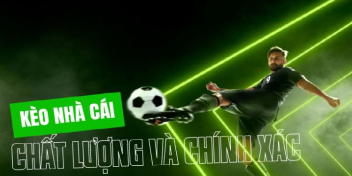 33King và nền tảng của tôi - 33King