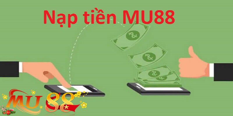 Giới thiệu về gà chọi 911Win - 911Win