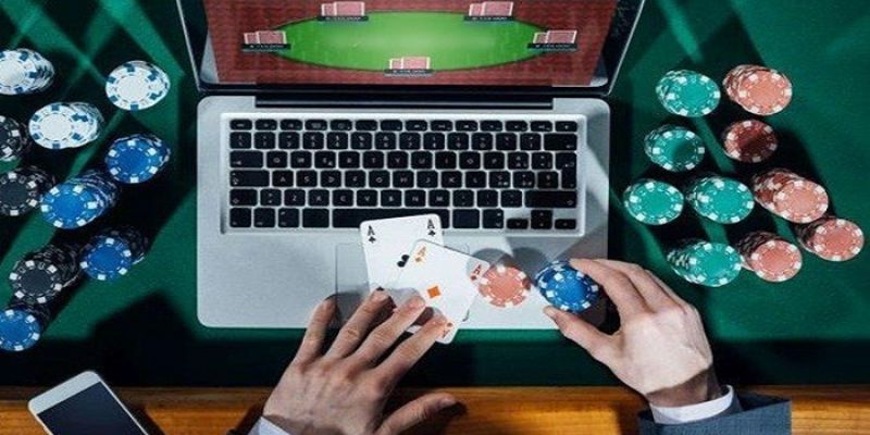 Tại sao nên chọn cá cược đá gà tại Công ty Net88 Gaming? - Net88