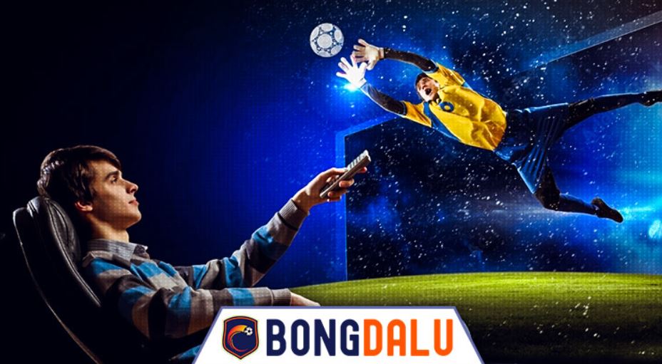 Giới thiệu về gà chọi W88 - W88